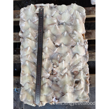 Frozen Squid Leftover Wing Illex Argentinus 200-300g